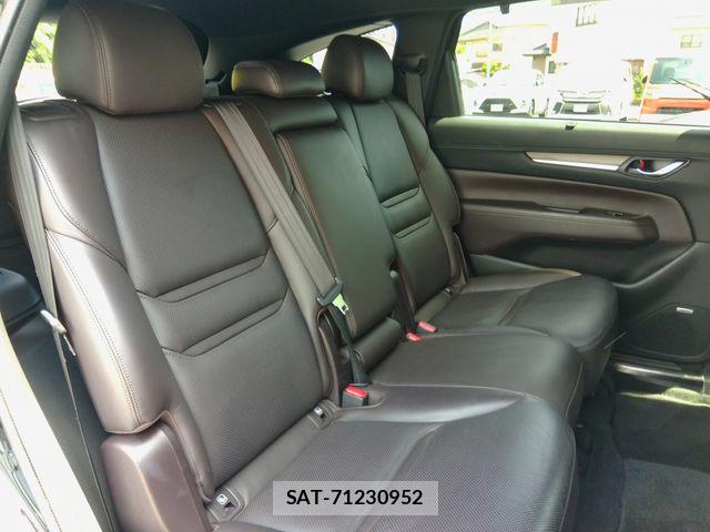 Mazda CX-8 2019-09 8335516-16