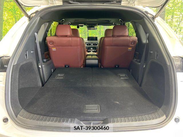 Mazda CX-8 2021-10 8335513-10