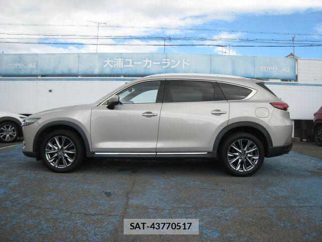 Mazda CX-8 2022-02 8365420-13
