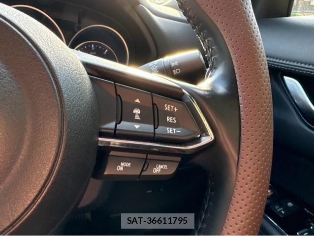 Mazda CX-8 2019-02 8371583-6