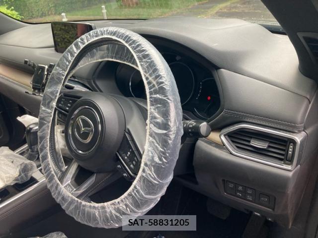 Mazda CX-8 2019-09 8411918-21