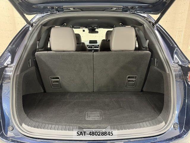 Mazda CX-8 2018-06 8411917-6