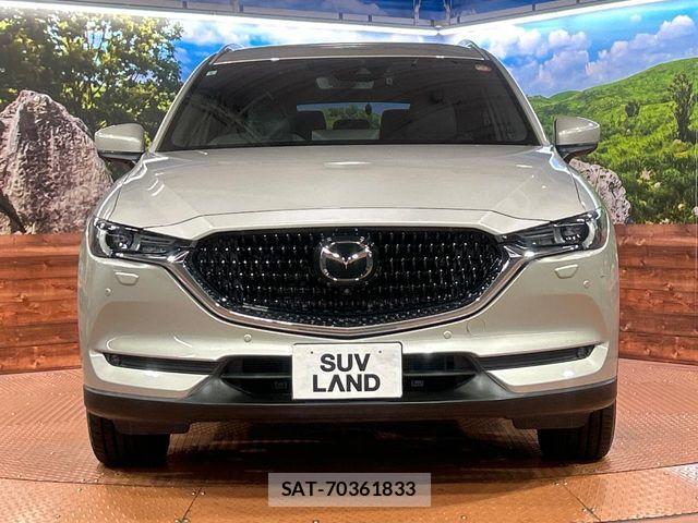 Mazda CX-8 2021-08 8438062-14