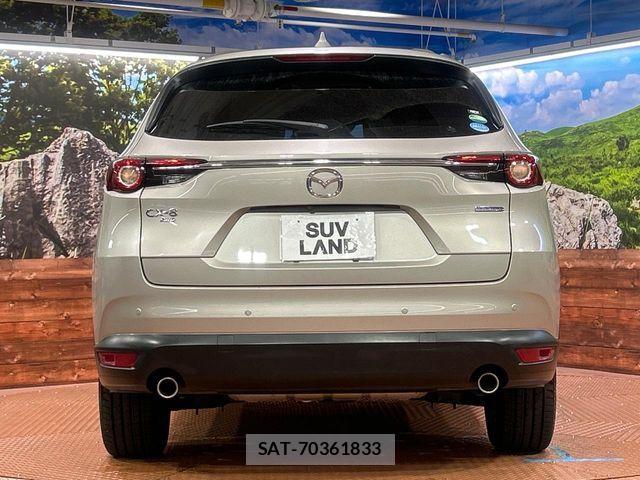 Mazda CX-8 2021-08 8438062-15