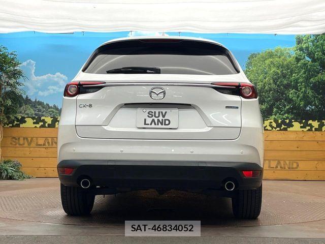 Mazda CX-8 2019-12 8438063-14