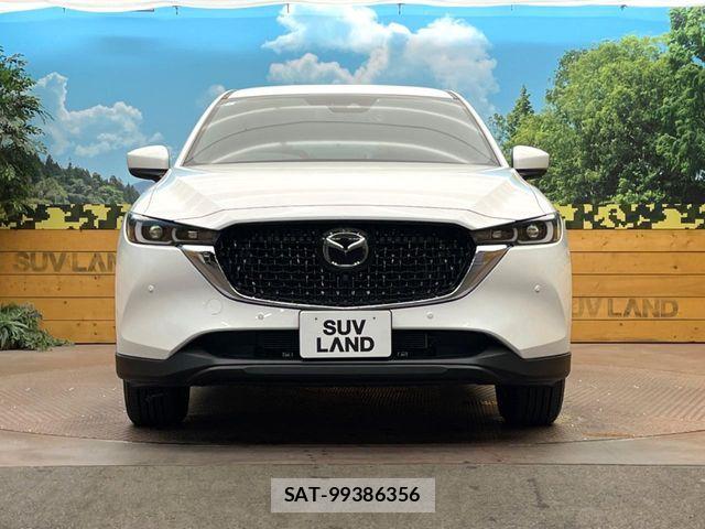 Mazda CX-8 2023-07 8438060-13