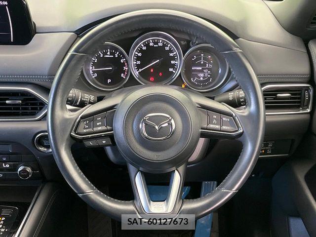 Mazda CX-8 2019-08 8457307-12