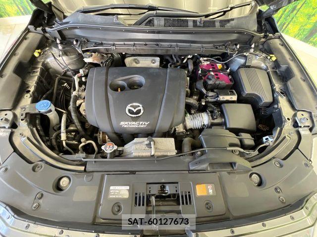 Mazda CX-8 2019-08 8457307-18