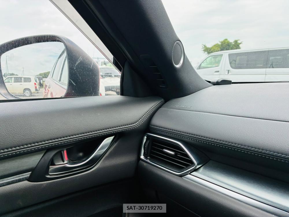 Mazda CX-8 2019-02 8351496-23