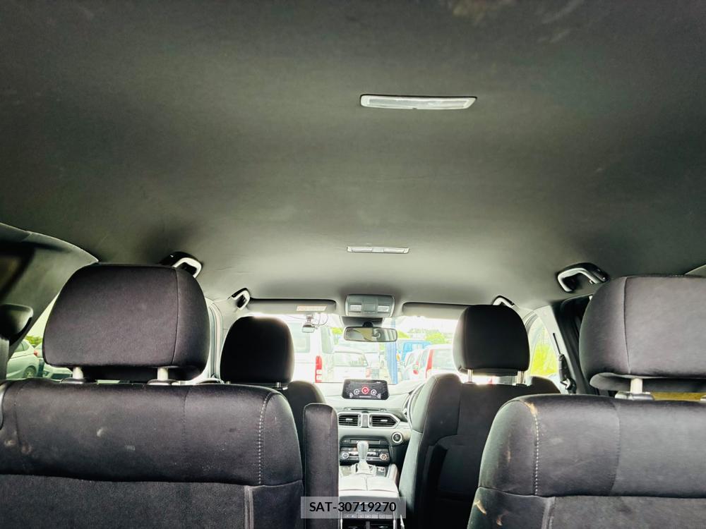 Mazda CX-8 2019-02 8351496-25