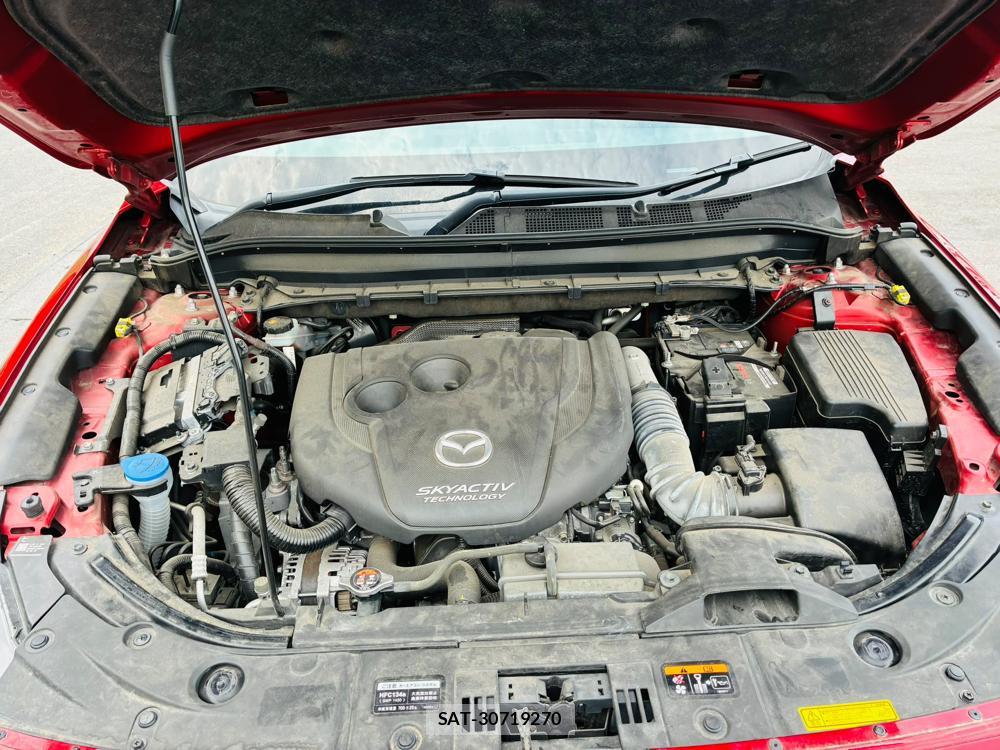 Mazda CX-8 2019-02 8351496-35