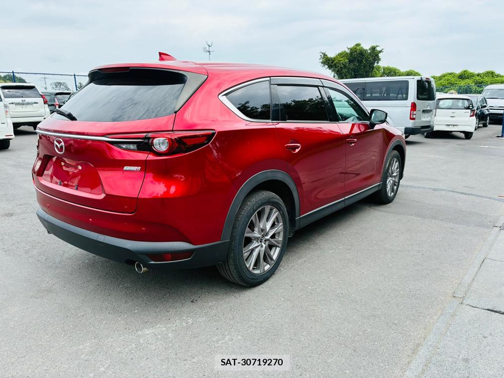 Mazda CX-8 2019-02 8351496-4