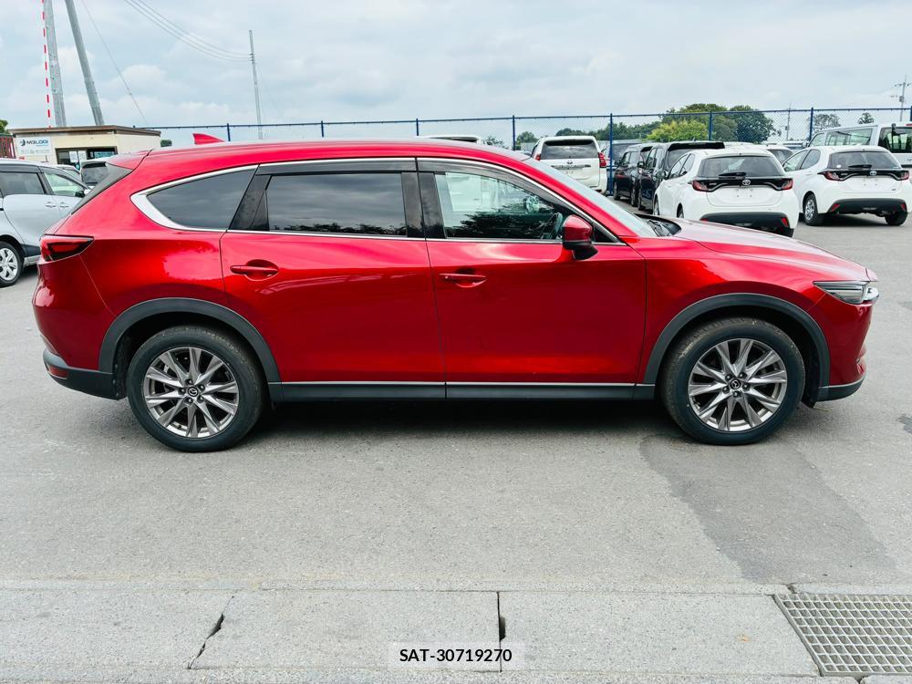 Mazda CX-8 2019-02 8351496-5