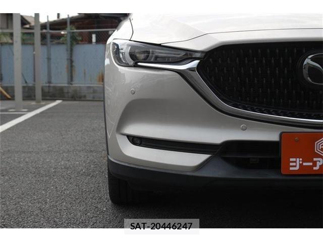 Mazda CX-8 2021-11 8524288-25