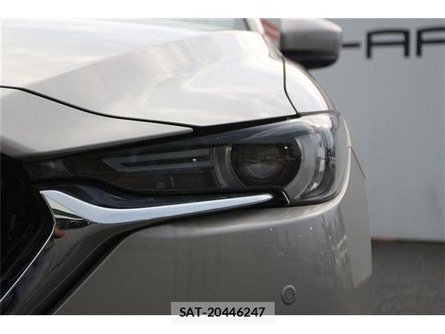 Mazda CX-8 2021-11 8524288-27
