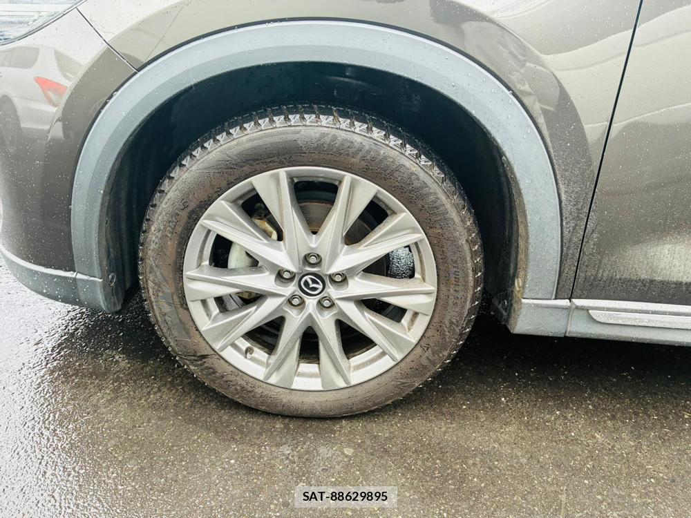 Mazda CX-8 2020-05 8532590-27