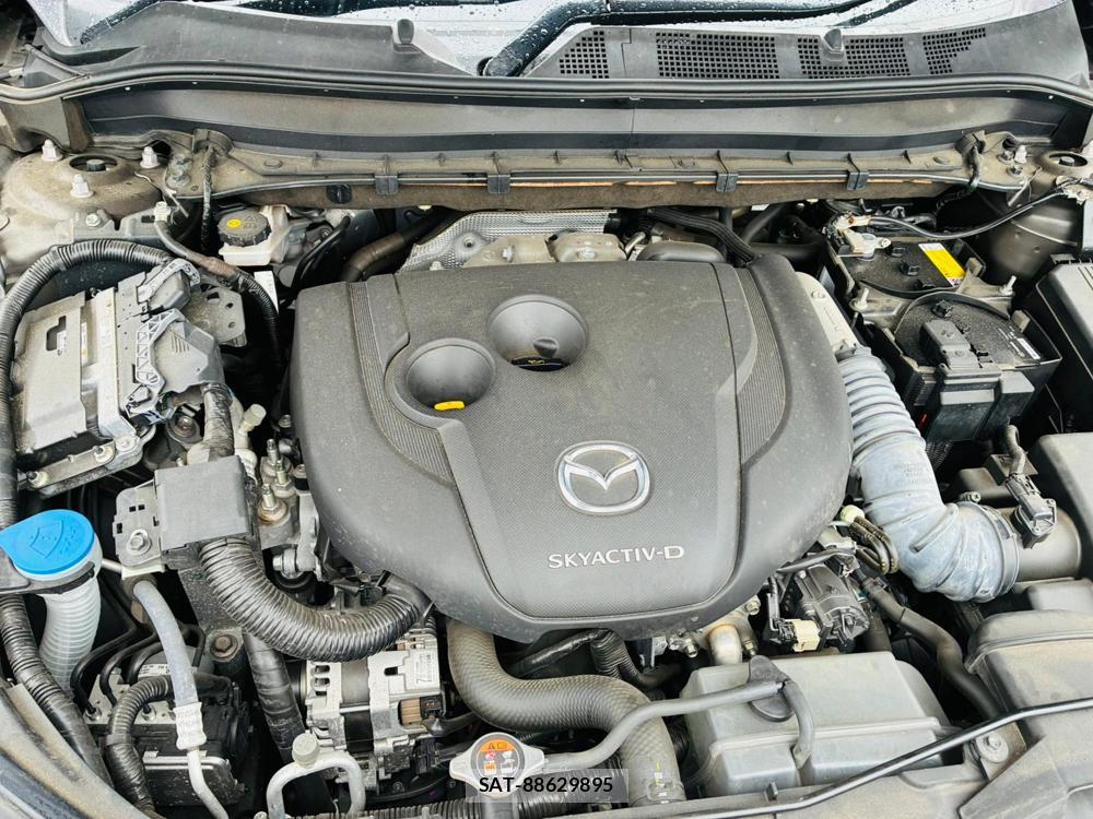 Mazda CX-8 2020-05 8532590-37