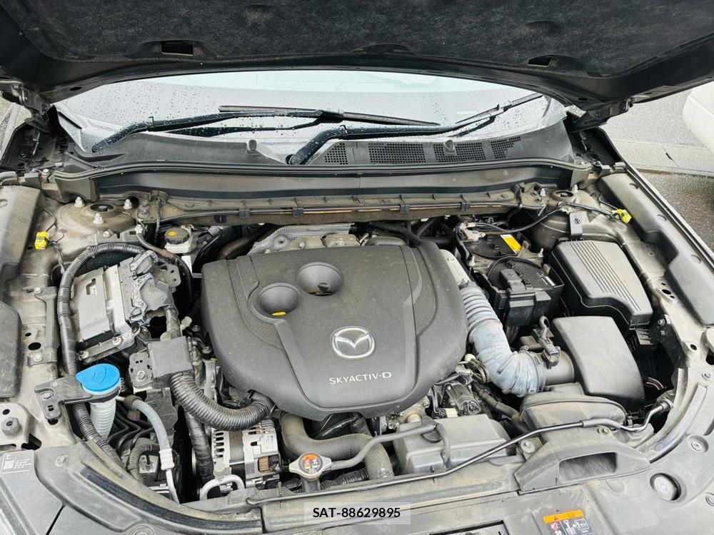 Mazda CX-8 2020-05 8532590-38