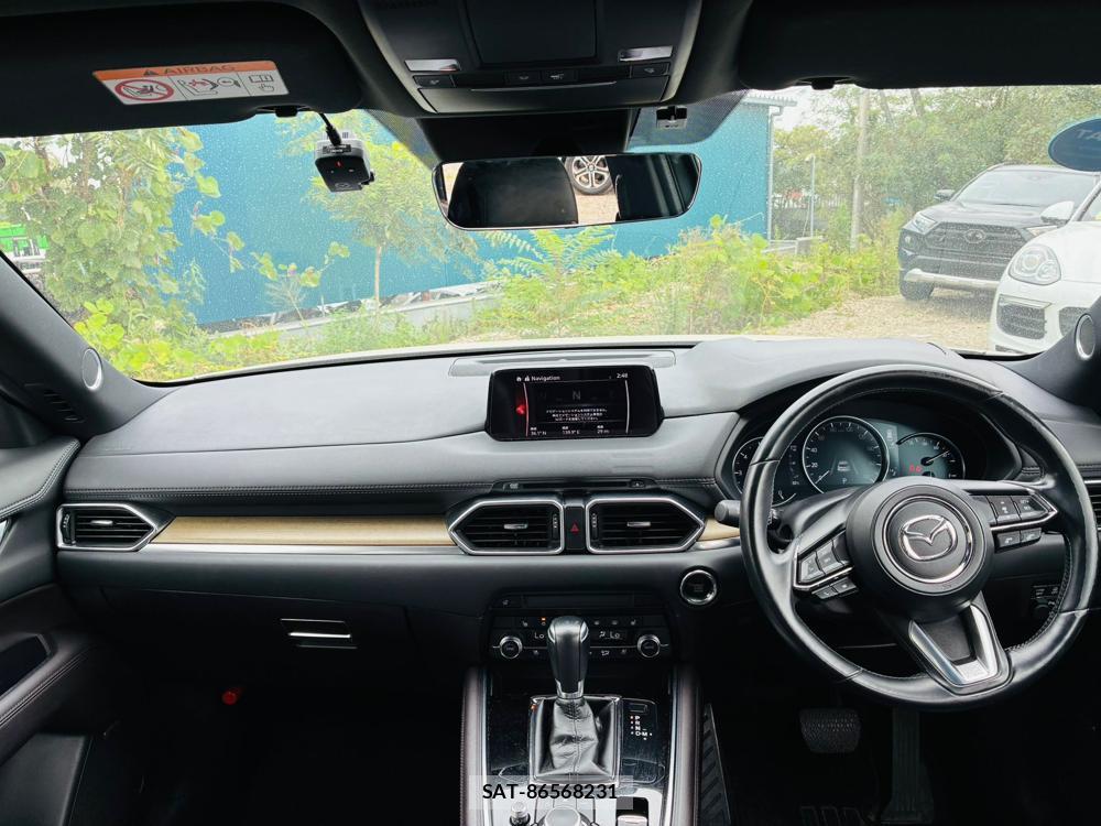 Mazda CX-8 2019 8603373-12