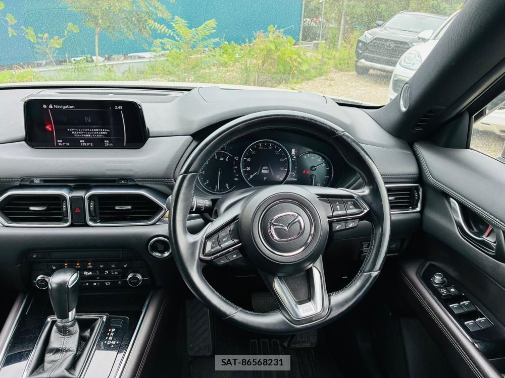 Mazda CX-8 2019 8603373-13