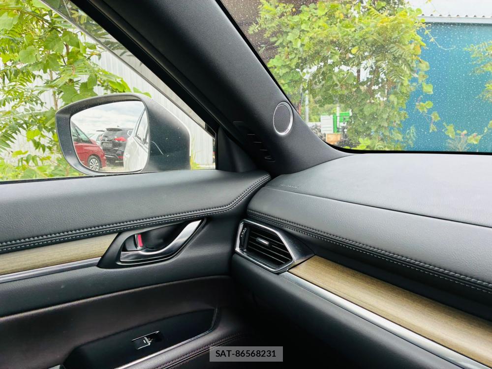Mazda CX-8 2019 8603373-18
