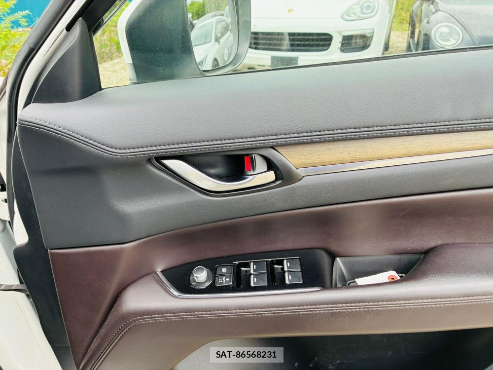 Mazda CX-8 2019 8603373-23