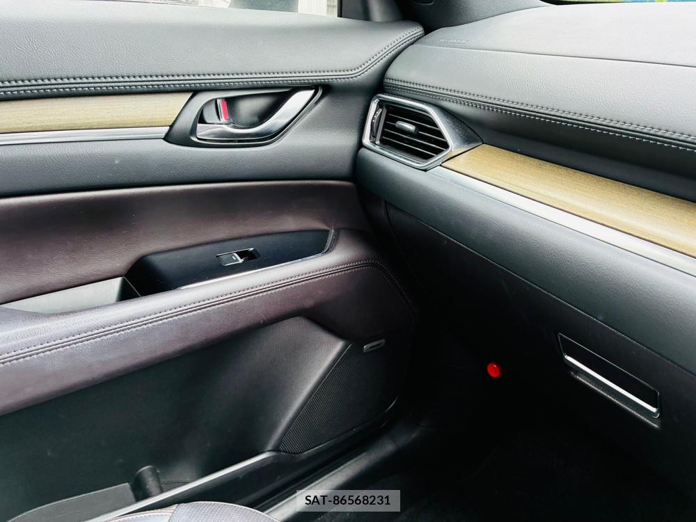 Mazda CX-8 2019 8603373-24