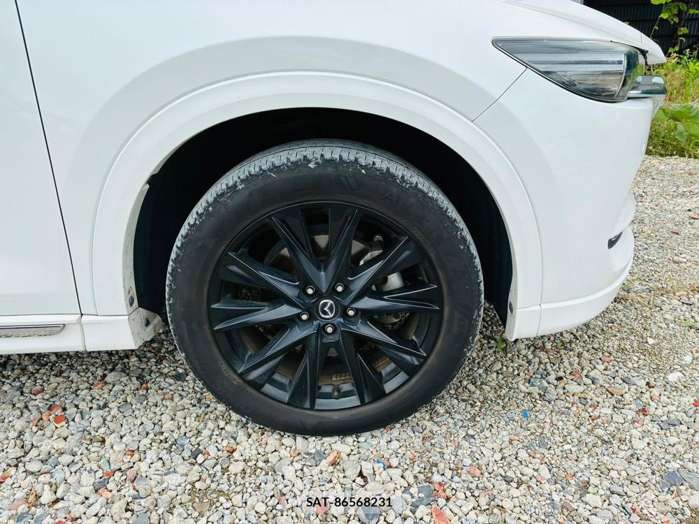 Mazda CX-8 2019 8603373-30
