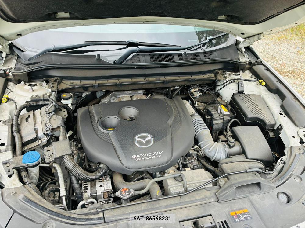 Mazda CX-8 2019 8603373-40