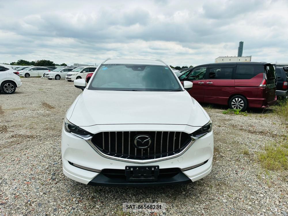 Mazda CX-8 2019 8603373-7