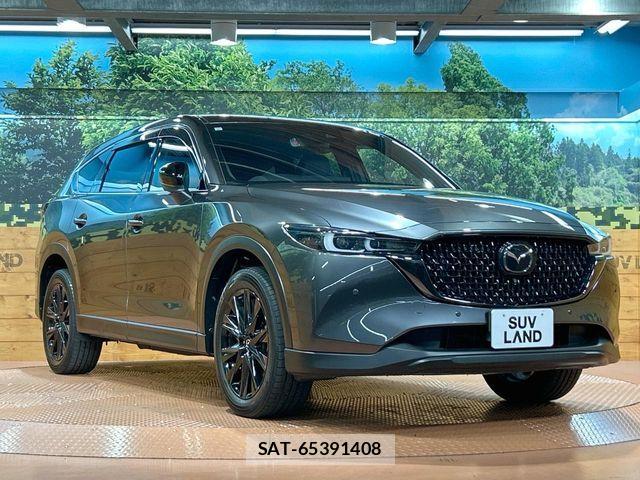 Mazda CX-8 2023-09 8666035-15