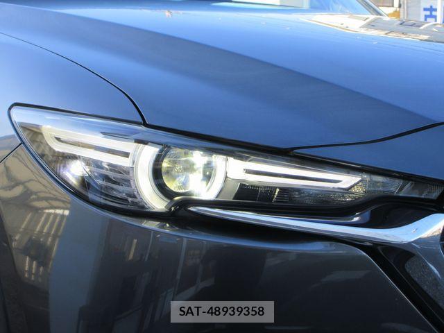 Mazda CX-8 2018-05 8658681-26