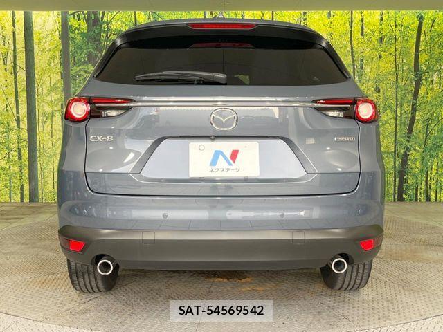 Mazda CX-8 2021-03 8666038-15