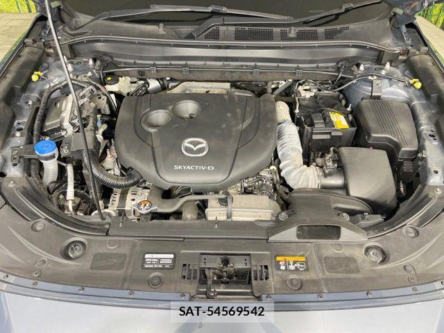 Mazda CX-8 2021-03 8666038-17