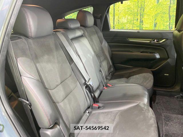 Mazda CX-8 2021-03 8666038-8