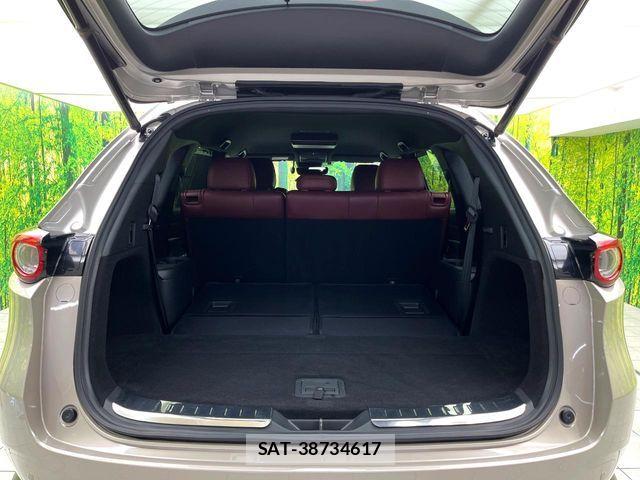Mazda CX-8 2021-02 8685403-9
