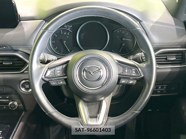Mazda CX-8 2019-08 8685406-11