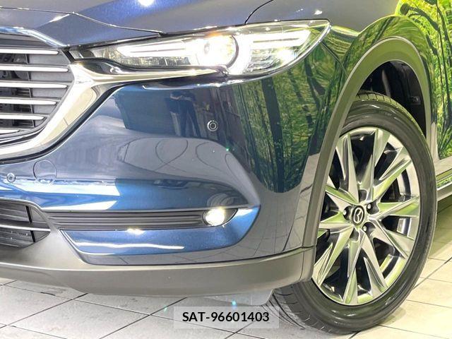 Mazda CX-8 2019-08 8685406-12