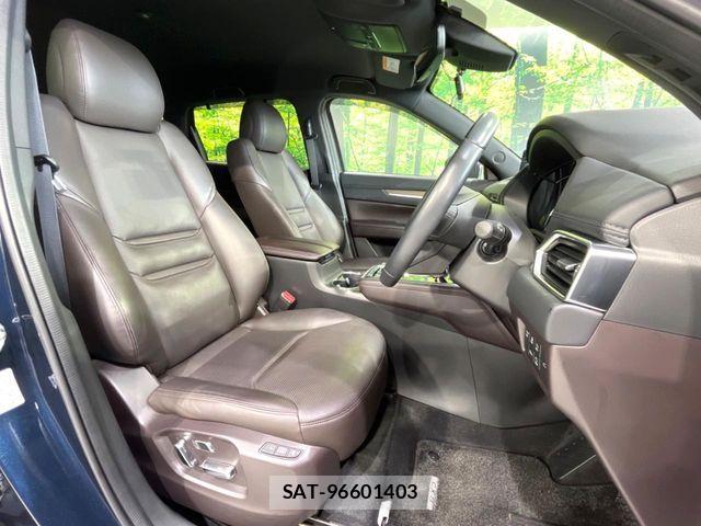 Mazda CX-8 2019-08 8685406-7