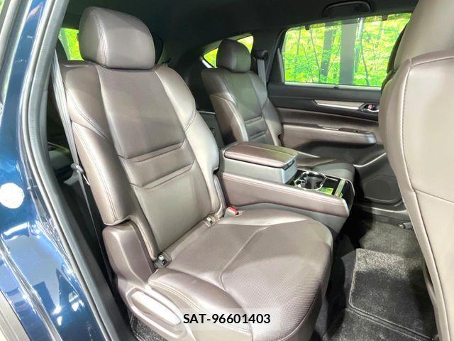 Mazda CX-8 2019-08 8685406-8