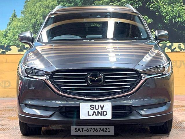 Mazda CX-8 2017-12 8741589-14