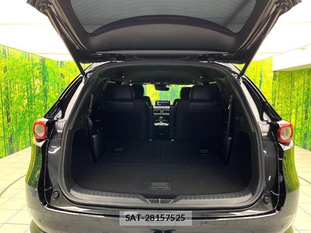 Mazda CX-8 2021-07 8779948-10