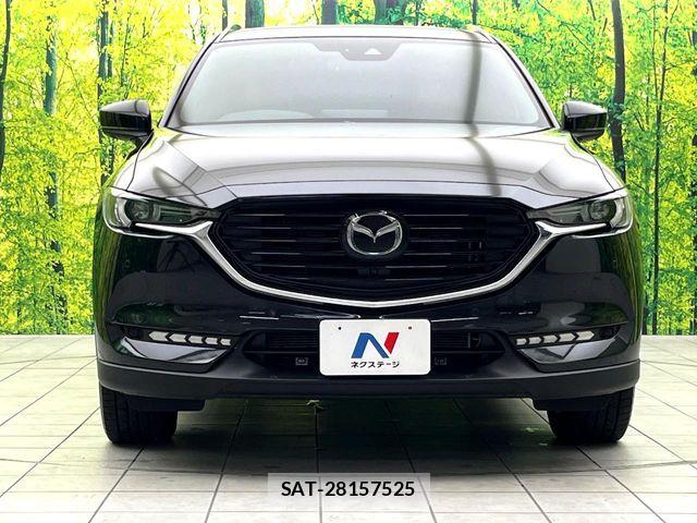 Mazda CX-8 2021-07 8779948-14