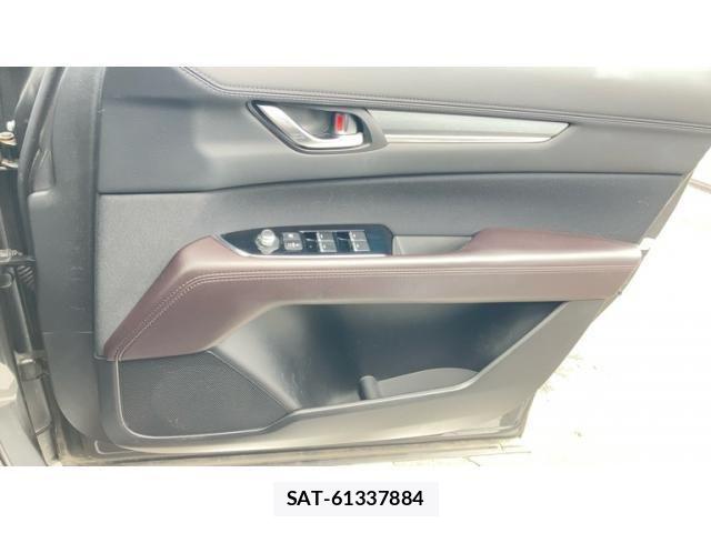 Mazda CX-8 2019-09 8779952-16