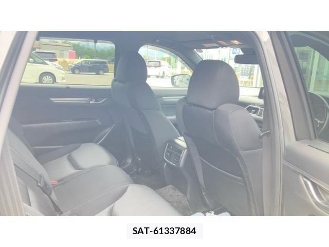 Mazda CX-8 2019-09 8779952-20