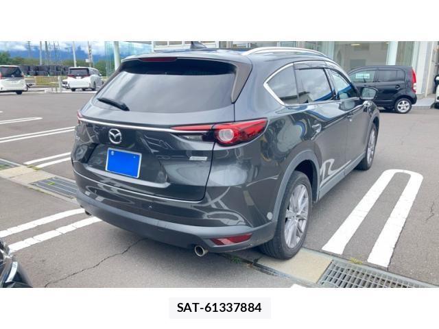 Mazda CX-8 2019-09 8779952-4