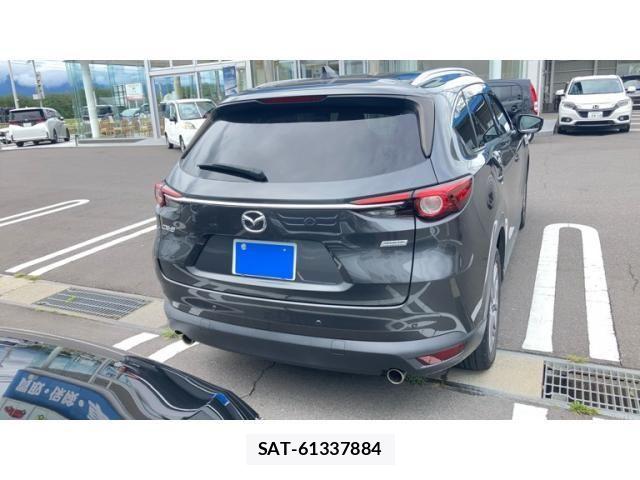 Mazda CX-8 2019-09 8779952-5