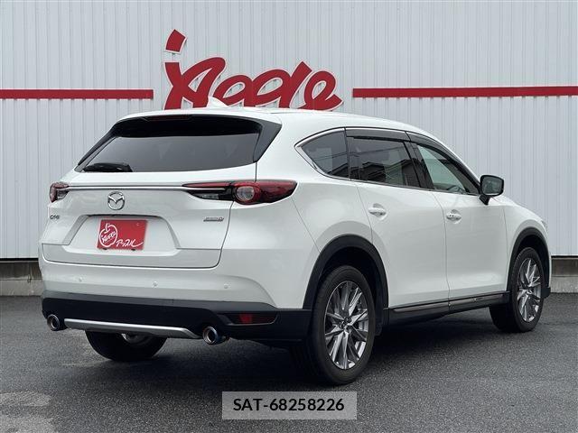Mazda CX-8 2019-06 8779951-2