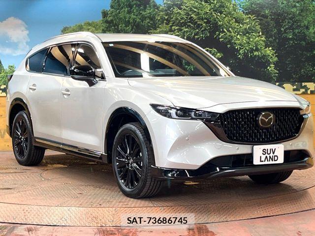Mazda CX-8 2024-01 8828589-15