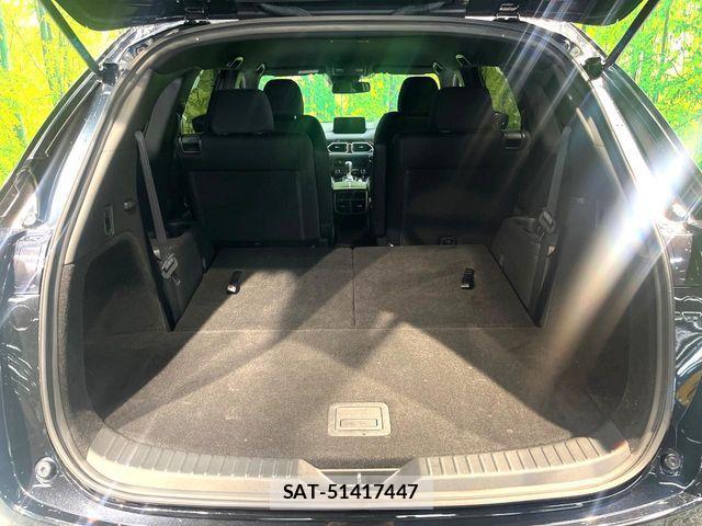 Mazda CX-8 2020-03 8879383-10